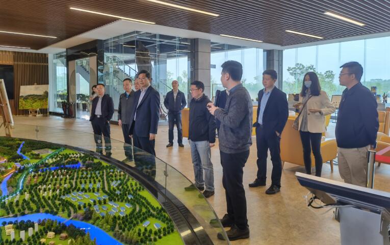 广西旅发集团党委书记、董事长容贤标考察集团文旅项目