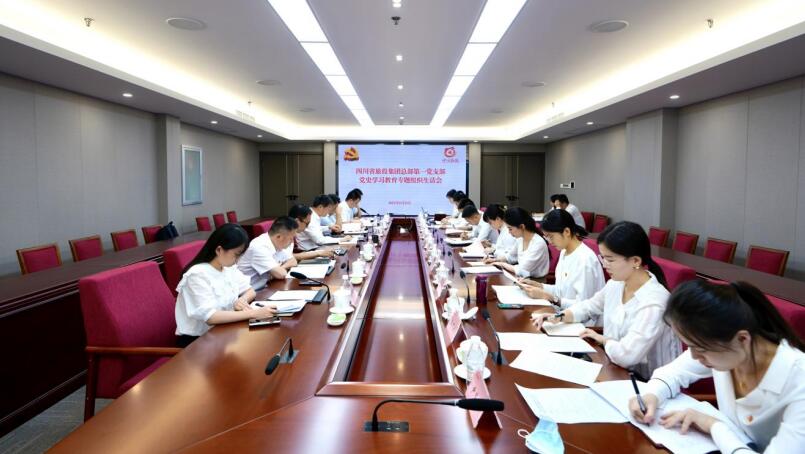 尊龙凯时集团党委书记、董事长任丁参加总部第一党支部党史学习教育专题组织生活会