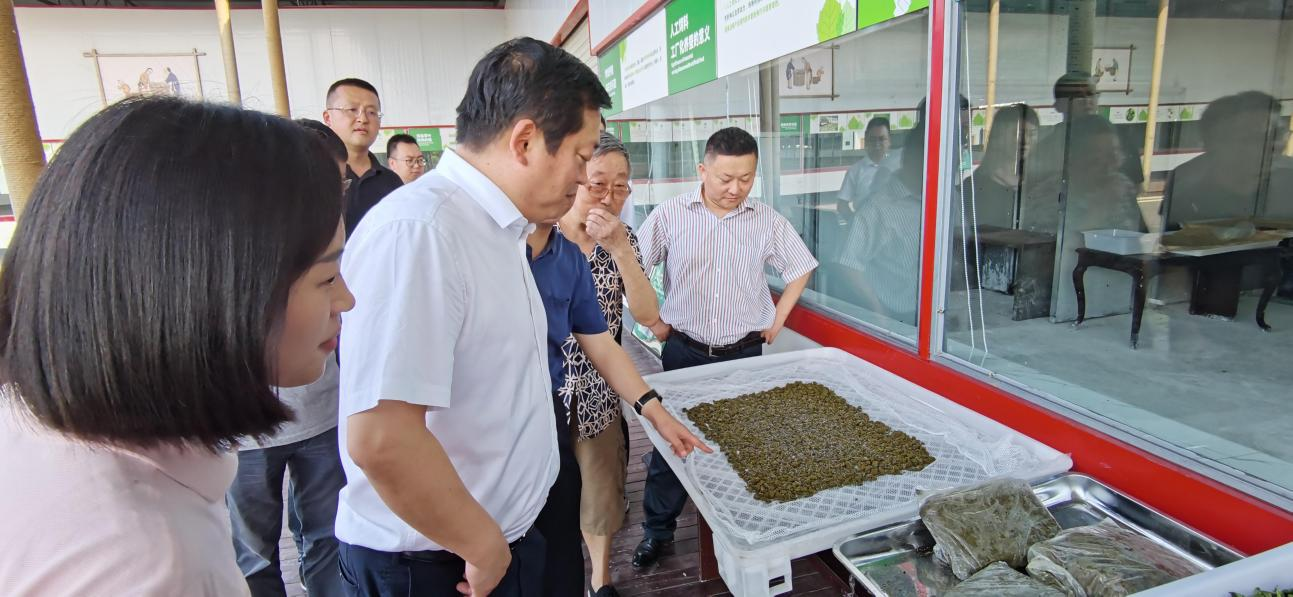 省尊龙凯时集团党委副书记、董事陈日赴嘉陵区调研茶桑产业发展情况